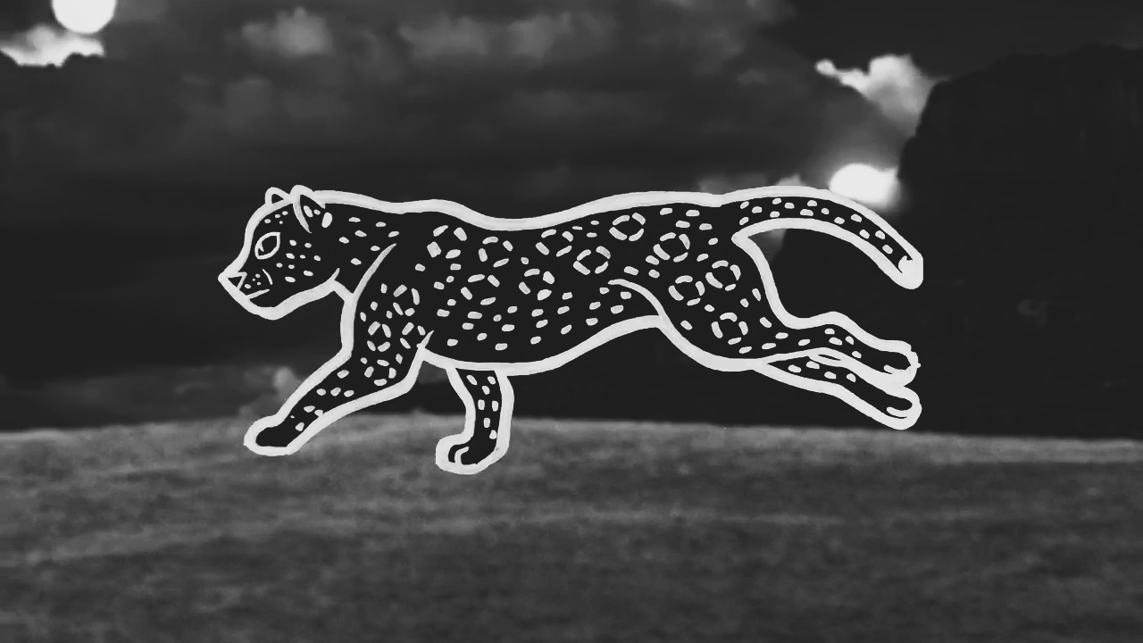 FELIPE VAQUEIRO: ENSAIOS DIAMANTINOS