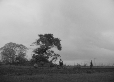CIDADE; CAMPO + debate com Juliana Lobo,  Juliana Rojas e Cristina Amaral.