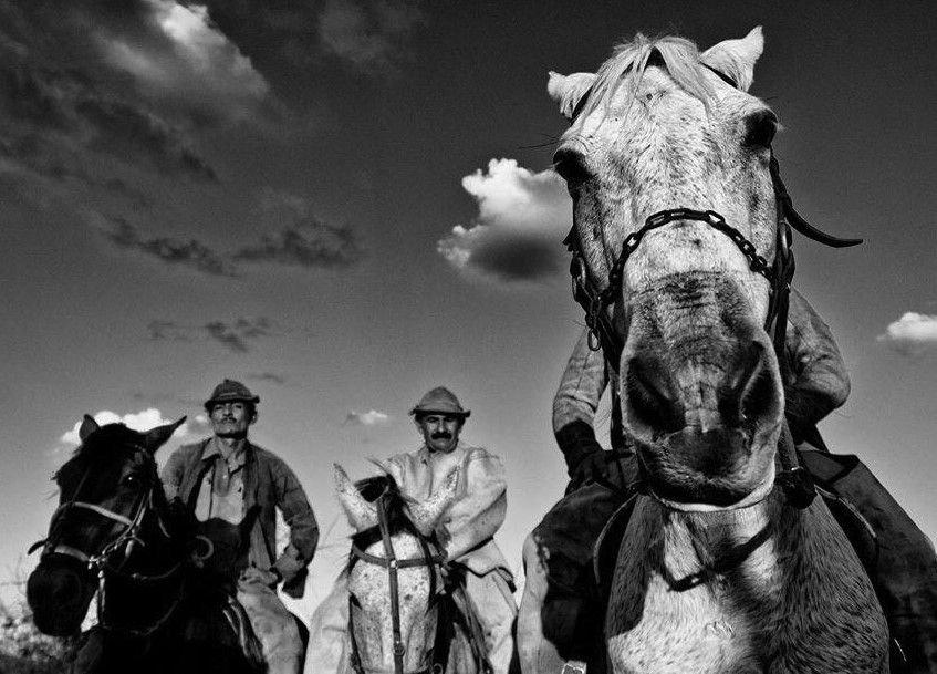 Rudinei Borges dos Santos: Sertão sem Fim